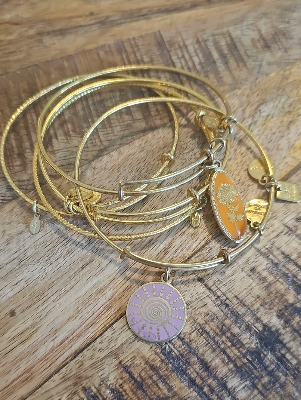 Alex and Ani Gold Tone Stackable Charm Bangle Set of 5